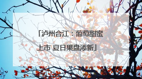 泸州合江：葡萄甜蜜上市 夏日果盘添新