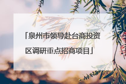 泉州市领导赴台商投资区调研重点招商项目