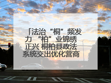 法治“桐”频发力 “柏”业锦绣正兴 桐柏县政法系统交出优化营商环境“成绩单”