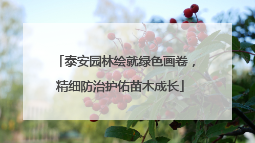 泰安园林绘就绿色画卷，精细防治护佑苗木成长