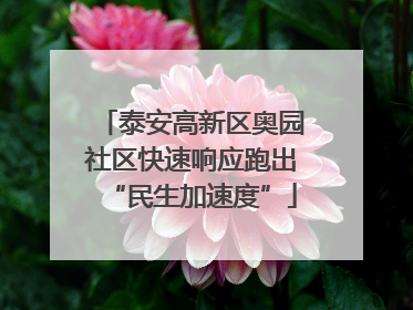 泰安高新区奥园社区快速响应跑出“民生加速度”