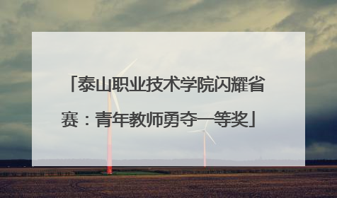 泰山职业技术学院闪耀省赛：青年教师勇夺一等奖