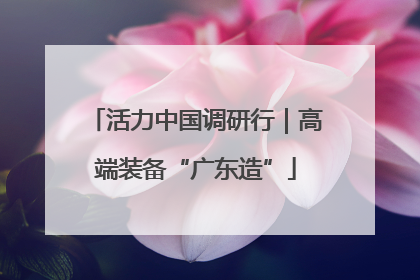活力中国调研行｜高端装备“广东造”