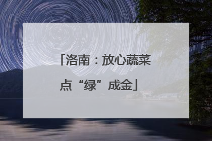 洛南：放心蔬菜点“绿”成金