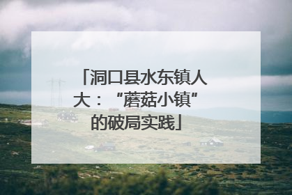 洞口县水东镇人大：“蘑菇小镇”的破局实践