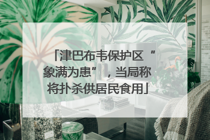 津巴布韦保护区“象满为患”，当局称将扑杀供居民食用