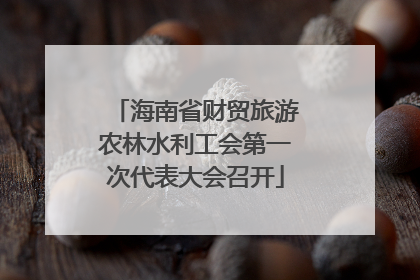 海南省财贸旅游农林水利工会第一次代表大会召开