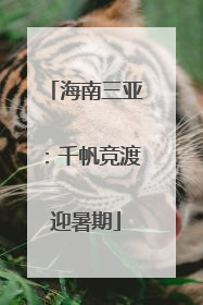 海南三亚：千帆竞渡迎暑期