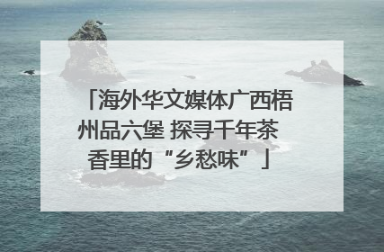 海外华文媒体广西梧州品六堡 探寻千年茶香里的“乡愁味”