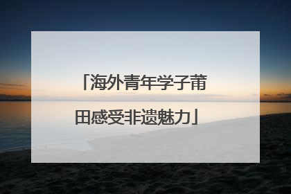 海外青年学子莆田感受非遗魅力