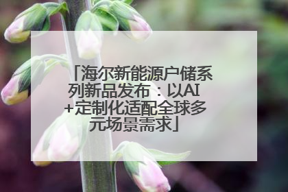 海尔新能源户储系列新品发布：以AI+定制化适配全球多元场景需求