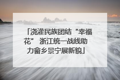 浇灌民族团结“幸福花” 浙江统一战线助力畲乡景宁展新貌