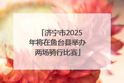 济宁市2025年将在鱼台县举办两场骑行比赛