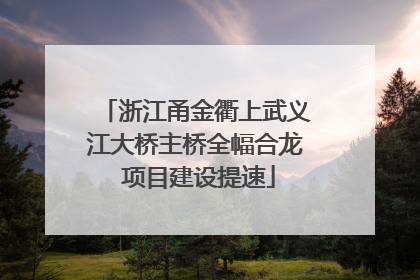 浙江甬金衢上武义江大桥主桥全幅合龙 项目建设提速