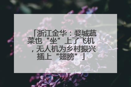 浙江金华：婺城蔬菜也“坐”上了飞机，无人机为乡村振兴插上“翅膀”