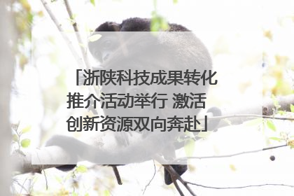 浙陕科技成果转化推介活动举行 激活创新资源双向奔赴
