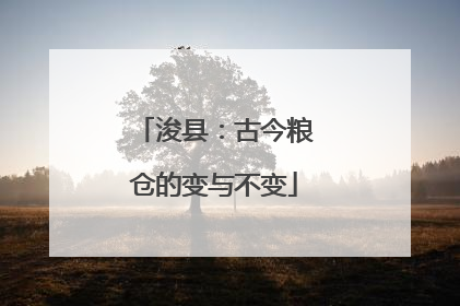 浚县：古今粮仓的变与不变