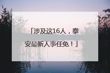 涉及这16人，泰安最新人事任免！