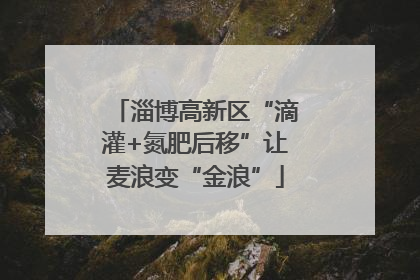 淄博高新区“滴灌+氮肥后移”让麦浪变“金浪”