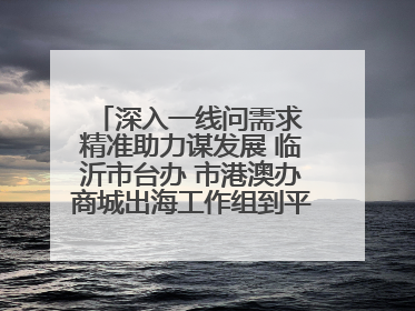 深入一线问需求 精准助力谋发展 临沂市台办 市港澳办商城出海工作组到平邑县走访调研