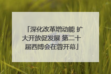 深化改革增动能 扩大开放促发展 第二十届西博会在蓉开幕