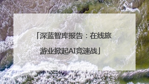 深蓝智库报告：在线旅游业掀起AI竞速战