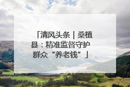 清风头条｜桑植县：精准监督守护群众“养老钱”