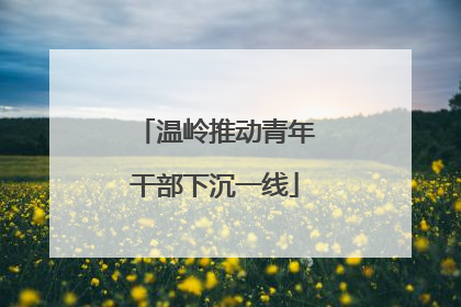 温岭推动青年干部下沉一线