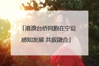 港澳台侨同胞在宁夏感知发展 共叙融合