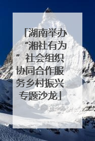湖南举办“湘社有为”社会组织协同合作服务乡村振兴专题沙龙