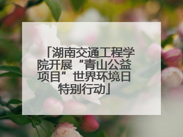 湖南交通工程学院开展“青山公益项目”世界环境日特别行动