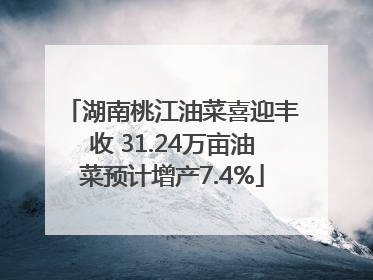 湖南桃江油菜喜迎丰收 31.24万亩油菜预计增产7.4%