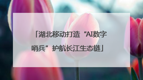 湖北移动打造“AI数字哨兵”护航长江生态链