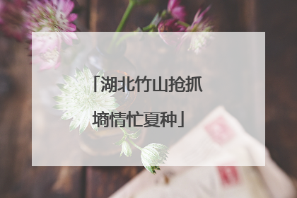 湖北竹山抢抓墒情忙夏种
