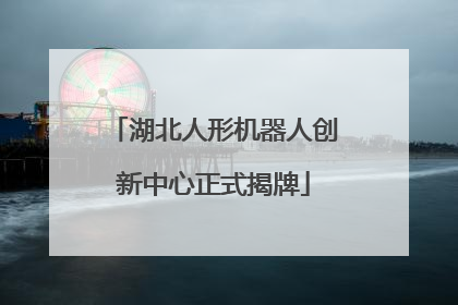 湖北人形机器人创新中心正式揭牌