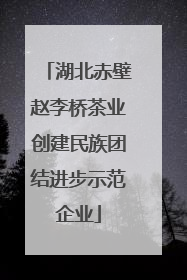 湖北赤壁赵李桥茶业创建民族团结进步示范企业