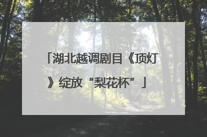 湖北越调剧目《顶灯》绽放“梨花杯”