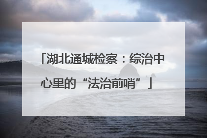 湖北通城检察：综治中心里的“法治前哨”