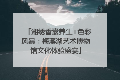 湘绣香囊养生+色彩风暴：梅溪湖艺术博物馆文化体验盛宴