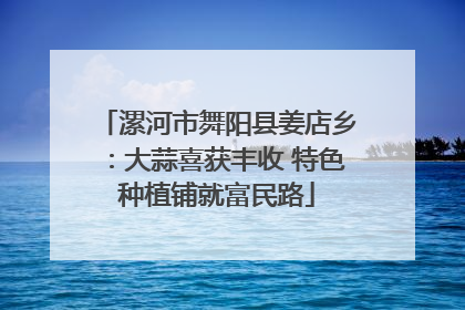 漯河市舞阳县姜店乡：大蒜喜获丰收 特色种植铺就富民路
