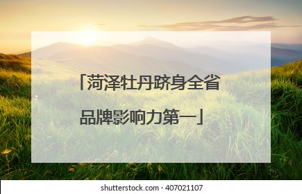 菏泽牡丹跻身全省品牌影响力第一