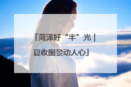 菏泽好“丰”光｜夏收图景动人心