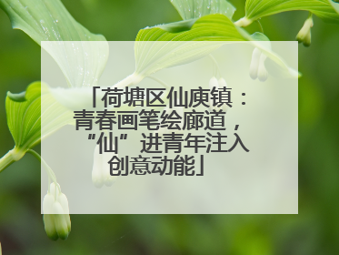 荷塘区仙庾镇：青春画笔绘廊道，“仙”进青年注入创意动能
