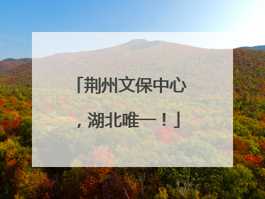 荆州文保中心，湖北唯一！