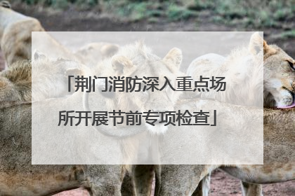 荆门消防深入重点场所开展节前专项检查