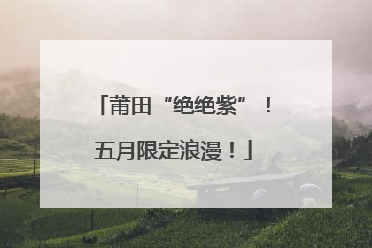 莆田“绝绝紫”！五月限定浪漫！