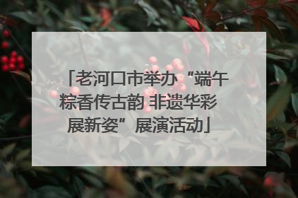 老河口市举办“端午粽香传古韵 非遗华彩展新姿”展演活动