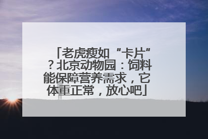 老虎瘦如“卡片”？北京动物园：饲料能保障营养需求，它体重正常，放心吧