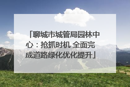 聊城市城管局园林中心：抢抓时机 全面完成道路绿化优化提升