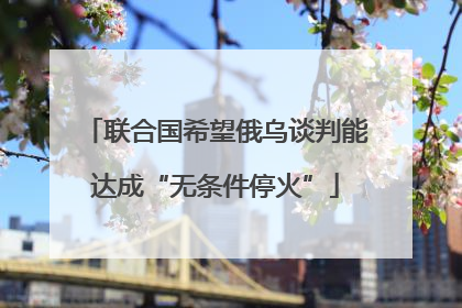 联合国希望俄乌谈判能达成“无条件停火”